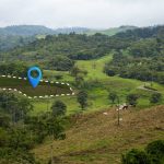 How to Buy Land Legally in Nigeria (Or Any African Country)